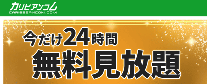カリビアンコム24時間無料見放題の画像
